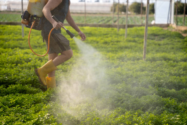 Best Affordable Exterminators  in Downey, CA