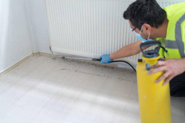 Professional Pest Control in Downey, CA